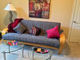 Designing Your Living Room With A Futon, Futon Living Room Ideas